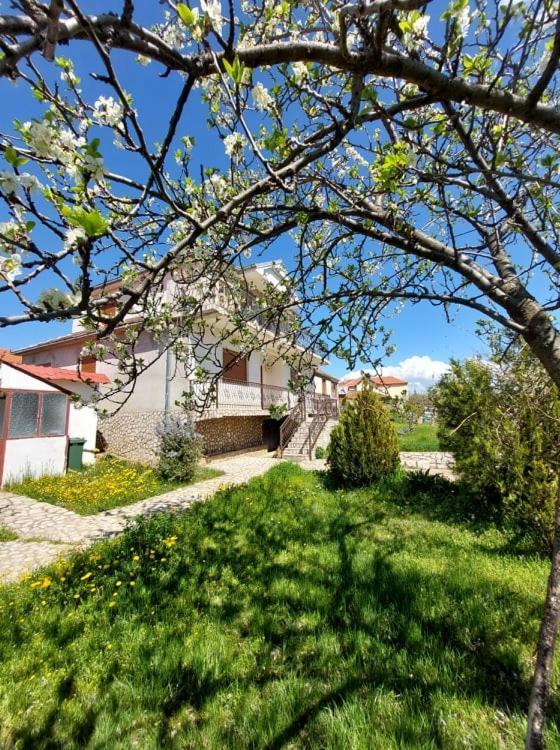 Prespa's Balcony Pensjonat Dolna Gorica